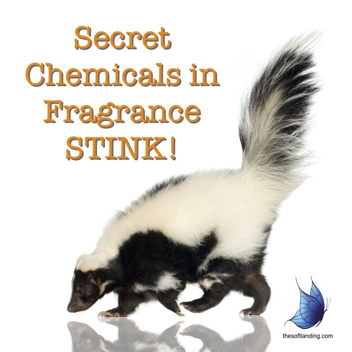 Secret-Chemicals-in-Fragrance-STINK-from-thesoftlanding.com_.jpg